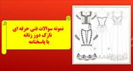 کامل ترین نمونه سوالات تستی فنی حرفه ای نازک دوز زنانه با جواب